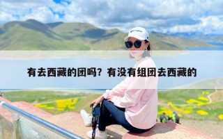 有去西藏的团吗？有没有组团去西藏的