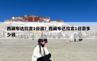 西藏布达拉宫1日游？西藏布达拉宫1日游多少钱