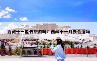 西藏十一能去旅游吗？西藏十一月去合适吗