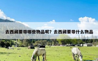 去西藏要带哪些物品呢？去西藏要带什么物品