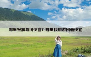 哪里报旅游团便宜？哪里找旅游团最便宜