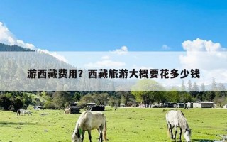 游西藏费用？西藏旅游大概要花多少钱