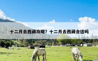十二月去西藏攻略？十二月去西藏合适吗