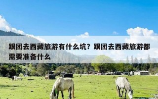跟团去西藏旅游有什么坑？跟团去西藏旅游都需要准备什么