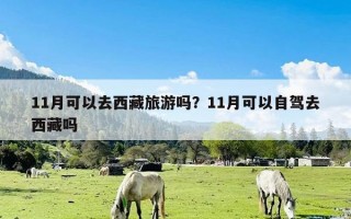 11月可以去西藏旅游吗？11月可以自驾去西藏吗