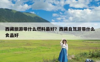 西藏旅游带什么燃料最好？西藏自驾游带什么食品好