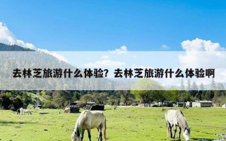 去林芝旅游什么体验？去林芝旅游什么体验啊