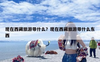 现在西藏旅游带什么？现在西藏旅游带什么东西