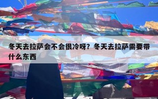 冬天去拉萨会不会很冷呀？冬天去拉萨需要带什么东西