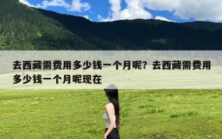 去西藏需费用多少钱一个月呢？去西藏需费用多少钱一个月呢现在