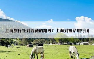 上海旅行社到西藏的路线？上海到拉萨旅行团