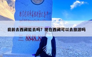 目前去西藏能去吗？现在西藏可以去旅游吗
