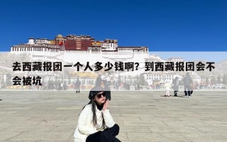 去西藏报团一个人多少钱啊？到西藏报团会不会被坑