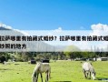 拉萨哪里有拍藏式婚纱？拉萨哪里有拍藏式婚纱照的地方