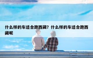 什么样的车适合跑西藏？什么样的车适合跑西藏呢