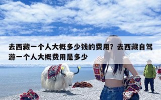 去西藏一个人大概多少钱的费用？去西藏自驾游一个人大概费用是多少