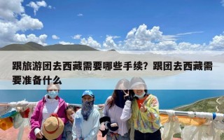 跟旅游团去西藏需要哪些手续？跟团去西藏需要准备什么
