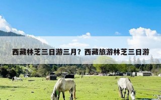 西藏林芝三日游三月？西藏旅游林芝三日游