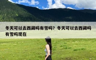 冬天可以去西藏吗有雪吗？冬天可以去西藏吗有雪吗现在