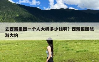 去西藏报团一个人大概多少钱啊？西藏报团旅游大约
