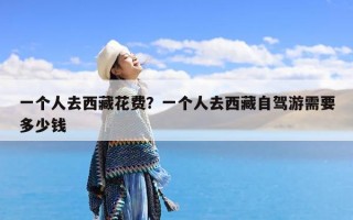 一个人去西藏花费？一个人去西藏自驾游需要多少钱