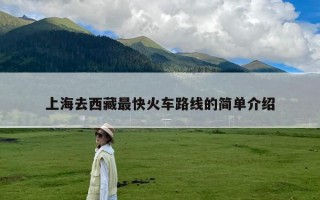 上海去西藏最快火车路线的简单介绍