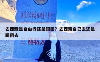 去西藏是自由行还是跟团？去西藏自己去还是跟团去