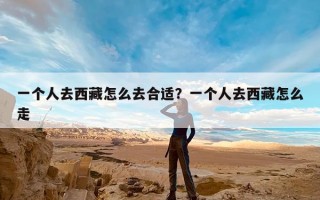 一个人去西藏怎么去合适？一个人去西藏怎么走
