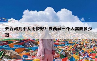 去西藏几个人比较好？去西藏一个人需要多少钱