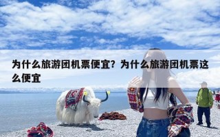 为什么旅游团机票便宜？为什么旅游团机票这么便宜