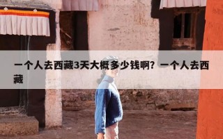 一个人去西藏3天大概多少钱啊？一个人去西藏