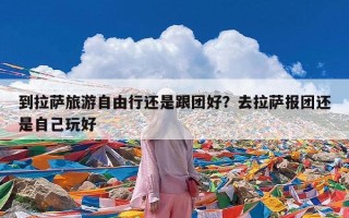 到拉萨旅游自由行还是跟团好？去拉萨报团还是自己玩好