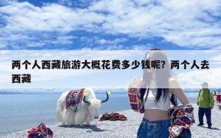 两个人西藏旅游大概花费多少钱呢？两个人去西藏