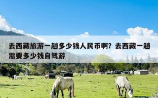 去西藏旅游一趟多少钱人民币啊？去西藏一趟需要多少钱自驾游