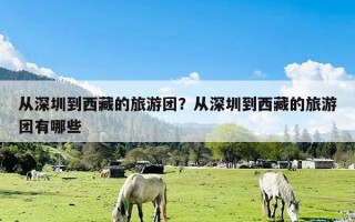 从深圳到西藏的旅游团？从深圳到西藏的旅游团有哪些