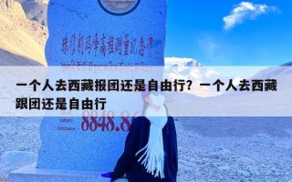 一个人去西藏报团还是自由行？一个人去西藏跟团还是自由行