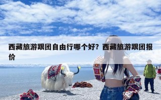 西藏旅游跟团自由行哪个好？西藏旅游跟团报价