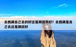 去西藏自己去的好还是跟团去好？去西藏是自己去还是跟团好