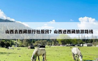 山西去西藏旅行社报团？山西进西藏旅游路线