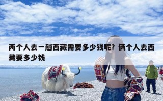 两个人去一趟西藏需要多少钱呢？俩个人去西藏要多少钱