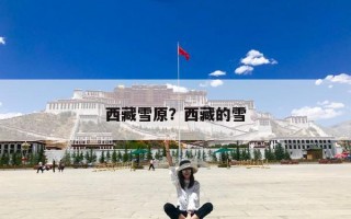 西藏雪原？西藏的雪