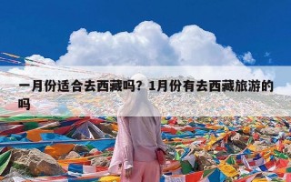 一月份适合去西藏吗？1月份有去西藏旅游的吗