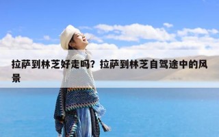 拉萨到林芝好走吗？拉萨到林芝自驾途中的风景