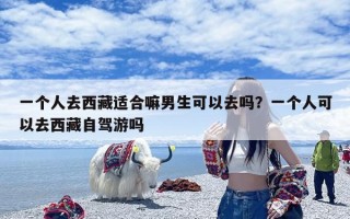 一个人去西藏适合嘛男生可以去吗？一个人可以去西藏自驾游吗
