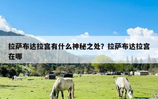 拉萨布达拉宫有什么神秘之处？拉萨布达拉宫在哪