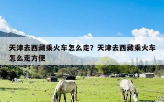 天津去西藏乘火车怎么走？天津去西藏乘火车怎么走方便