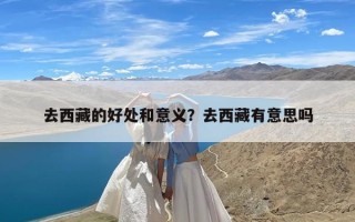 去西藏的好处和意义？去西藏有意思吗