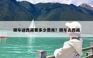 跟车进西藏要多少费用？跟车去西藏