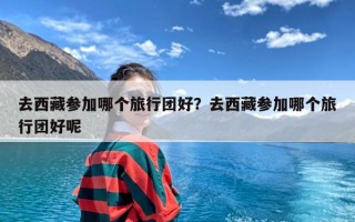 去西藏参加哪个旅行团好？去西藏参加哪个旅行团好呢