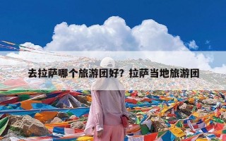 去拉萨哪个旅游团好？拉萨当地旅游团